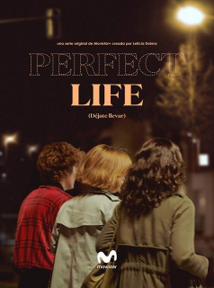 Perfect Life streaming