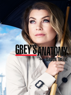 Grey's Anatomy 2023 saison 12 épisode 24