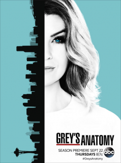 Grey's Anatomy 2023 saison 13 épisode 3