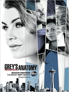 Grey's Anatomy 2023 saison 14 épisode 13