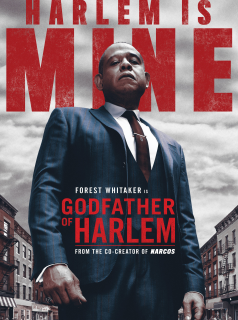 Godfather of Harlem saison 1
