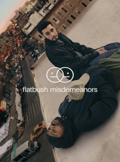 Flatbush Misdemeanors streaming