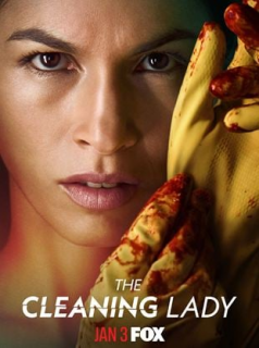 THE CLEANING LADY Saison 1 en streaming français
