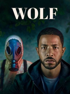 Wolf 2023 Saison 1 en streaming français